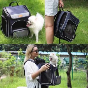 Lightweight breathable cat travel backpack with bubble