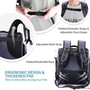 Cat comfortably inside see-through bubble pet backpack