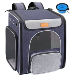 Airline-approved transparent bubble window cat backpack
