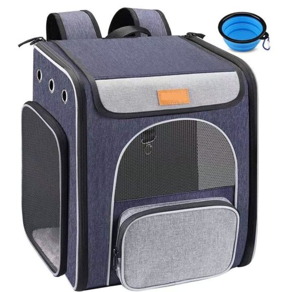Airline-approved transparent bubble window cat backpack